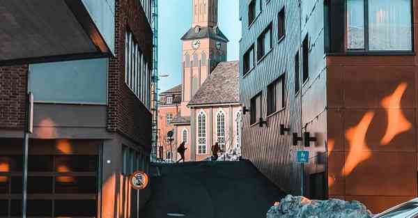 佛跳墙最新版下载v2.